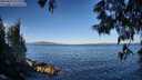 ./images/koeye/fitz-hugh/20250607/fitz-hugh20250607_075509M.jpg
