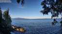 ./images/koeye/fitz-hugh/20250607/fitz-hugh20250607_080011M.jpg