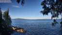 ./images/koeye/fitz-hugh/20250607/fitz-hugh20250607_080509M.jpg