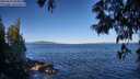 ./images/koeye/fitz-hugh/20250607/fitz-hugh20250607_083012M.jpg