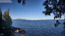 ./images/koeye/fitz-hugh/20250607/fitz-hugh20250607_083510M.jpg