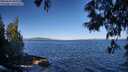./images/koeye/fitz-hugh/20250607/fitz-hugh20250607_084510M.jpg