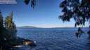 ./images/koeye/fitz-hugh/20250607/fitz-hugh20250607_085008M.jpg