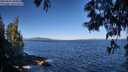 ./images/koeye/fitz-hugh/20250607/fitz-hugh20250607_090012M.jpg