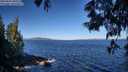 ./images/koeye/fitz-hugh/20250607/fitz-hugh20250607_090509M.jpg