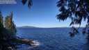 ./images/koeye/fitz-hugh/20250607/fitz-hugh20250607_093511M.jpg