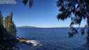 ./images/koeye/fitz-hugh/20250607/fitz-hugh20250607_095009M.jpg