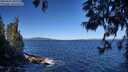 ./images/koeye/fitz-hugh/20250607/fitz-hugh20250607_095510M.jpg