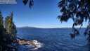 ./images/koeye/fitz-hugh/20250607/fitz-hugh20250607_100509M.jpg