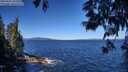 ./images/koeye/fitz-hugh/20250607/fitz-hugh20250607_101009M.jpg