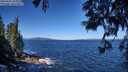 ./images/koeye/fitz-hugh/20250607/fitz-hugh20250607_102010M.jpg