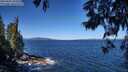 ./images/koeye/fitz-hugh/20250607/fitz-hugh20250607_103509M.jpg