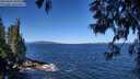 ./images/koeye/fitz-hugh/20250607/fitz-hugh20250607_104511M.jpg