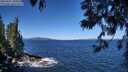 ./images/koeye/fitz-hugh/20250607/fitz-hugh20250607_105010M.jpg
