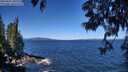 ./images/koeye/fitz-hugh/20250607/fitz-hugh20250607_105509M.jpg