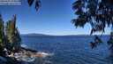 ./images/koeye/fitz-hugh/20250607/fitz-hugh20250607_110012M.jpg