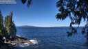 ./images/koeye/fitz-hugh/20250607/fitz-hugh20250607_110509M.jpg
