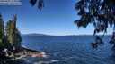 ./images/koeye/fitz-hugh/20250607/fitz-hugh20250607_111010M.jpg
