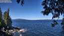 ./images/koeye/fitz-hugh/20250607/fitz-hugh20250607_112009M.jpg