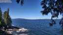 ./images/koeye/fitz-hugh/20250607/fitz-hugh20250607_112510M.jpg