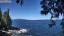 ./images/koeye/fitz-hugh/20250607/fitz-hugh20250607_113012M.jpg