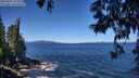 ./images/koeye/fitz-hugh/20250607/fitz-hugh20250607_113510M.jpg