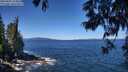 ./images/koeye/fitz-hugh/20250607/fitz-hugh20250607_114010M.jpg
