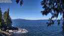 ./images/koeye/fitz-hugh/20250607/fitz-hugh20250607_115011M.jpg