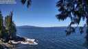 ./images/koeye/fitz-hugh/20250607/fitz-hugh20250607_115510M.jpg