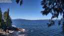 ./images/koeye/fitz-hugh/20250607/fitz-hugh20250607_120511M.jpg