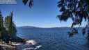 ./images/koeye/fitz-hugh/20250607/fitz-hugh20250607_121010M.jpg
