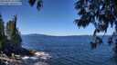 ./images/koeye/fitz-hugh/20250607/fitz-hugh20250607_121511M.jpg