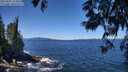 ./images/koeye/fitz-hugh/20250607/fitz-hugh20250607_122010M.jpg
