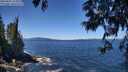 ./images/koeye/fitz-hugh/20250607/fitz-hugh20250607_122511M.jpg