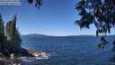 ./images/koeye/fitz-hugh/20250607/fitz-hugh20250607_123511M.jpg