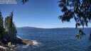 ./images/koeye/fitz-hugh/20250607/fitz-hugh20250607_124010M.jpg