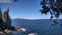 ./images/koeye/fitz-hugh/20250607/fitz-hugh20250607_124510M.jpg