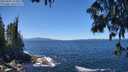 ./images/koeye/fitz-hugh/20250607/fitz-hugh20250607_125008M.jpg