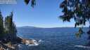 ./images/koeye/fitz-hugh/20250607/fitz-hugh20250607_125509M.jpg