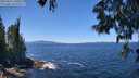 ./images/koeye/fitz-hugh/20250607/fitz-hugh20250607_130012M.jpg