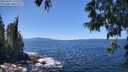 ./images/koeye/fitz-hugh/20250607/fitz-hugh20250607_133510M.jpg