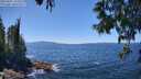 ./images/koeye/fitz-hugh/20250607/fitz-hugh20250607_134509M.jpg