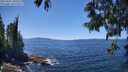 ./images/koeye/fitz-hugh/20250607/fitz-hugh20250607_135510M.jpg