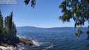 ./images/koeye/fitz-hugh/20250607/fitz-hugh20250607_140010M.jpg