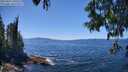 ./images/koeye/fitz-hugh/20250607/fitz-hugh20250607_140510M.jpg