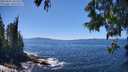 ./images/koeye/fitz-hugh/20250607/fitz-hugh20250607_141511M.jpg