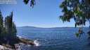./images/koeye/fitz-hugh/20250607/fitz-hugh20250607_142009M.jpg