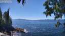 ./images/koeye/fitz-hugh/20250607/fitz-hugh20250607_142510M.jpg