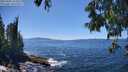 ./images/koeye/fitz-hugh/20250607/fitz-hugh20250607_143011M.jpg