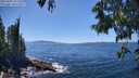 ./images/koeye/fitz-hugh/20250607/fitz-hugh20250607_143508M.jpg